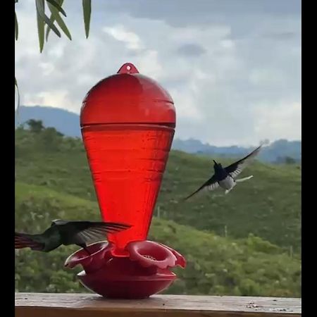 El Refugio Del Colibri Bed & Breakfast Santa Rosa de Cabal Ngoại thất bức ảnh