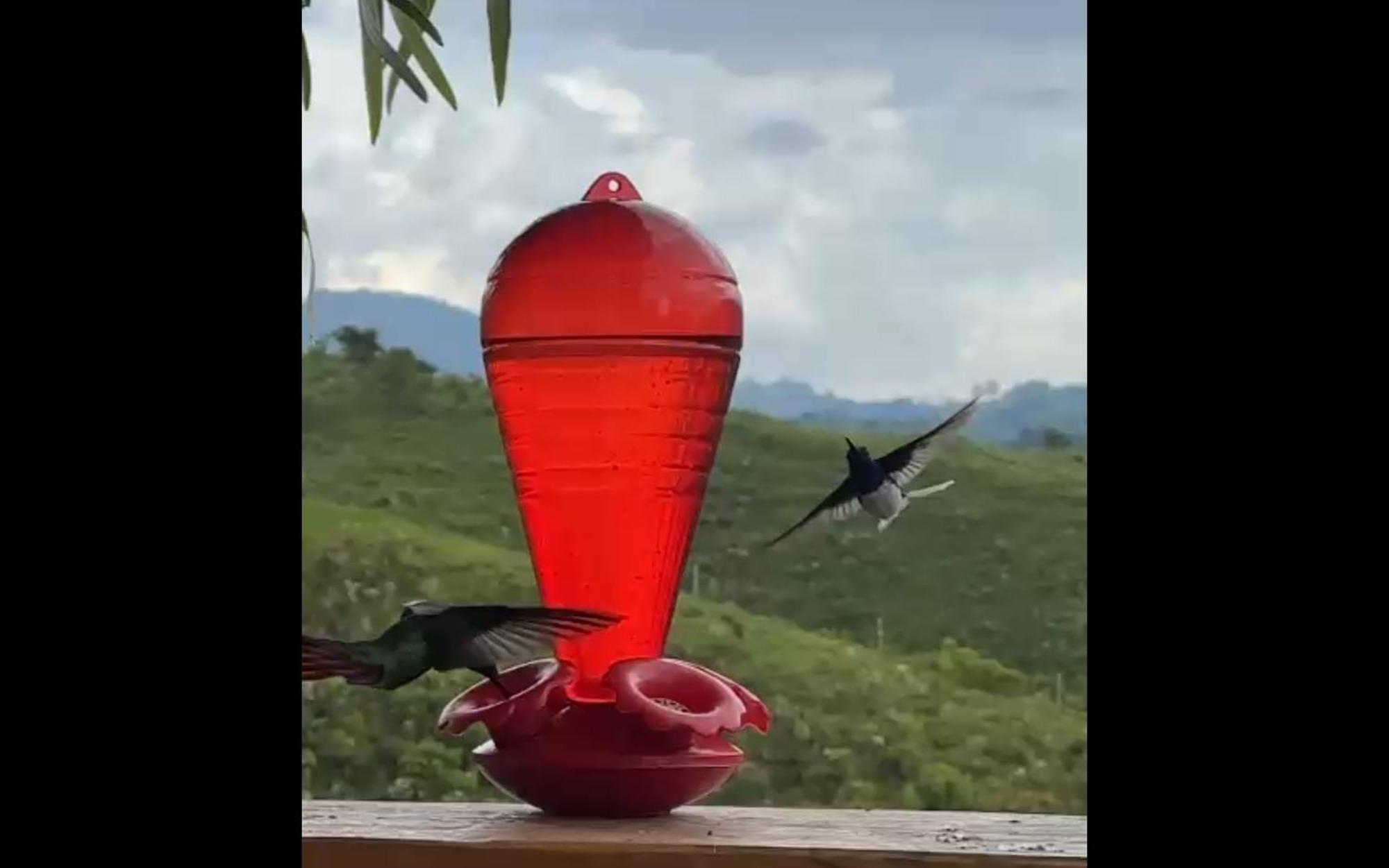 El Refugio Del Colibri Bed & Breakfast Santa Rosa de Cabal Ngoại thất bức ảnh