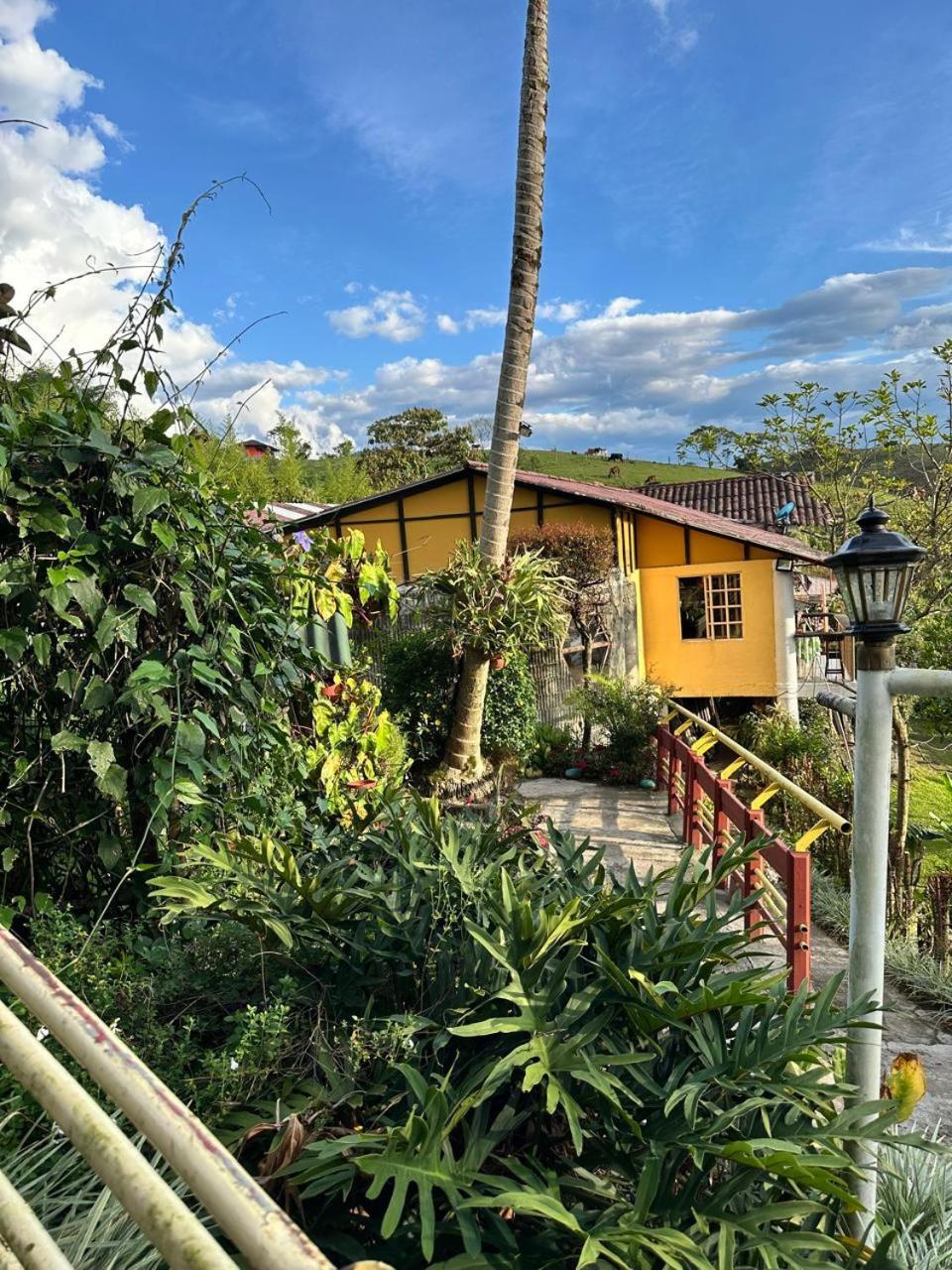 El Refugio Del Colibri Bed & Breakfast Santa Rosa de Cabal Ngoại thất bức ảnh